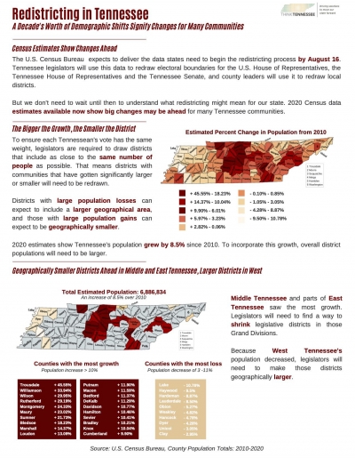 thinktn redistricting one pager demographic change - Think Tennessee